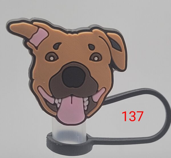 Dog 13